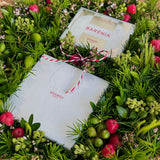 A Bath in the XMAS Garden